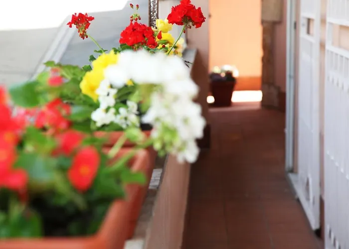 Guest house Vaticano84 Rome